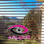کرکره برقی پلی کربنات شفاف
