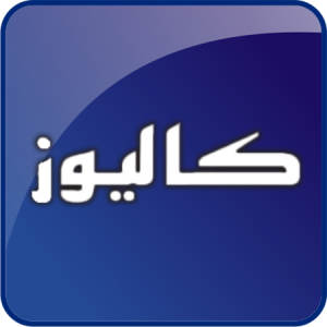 درب بازکن تصویری چیست؟