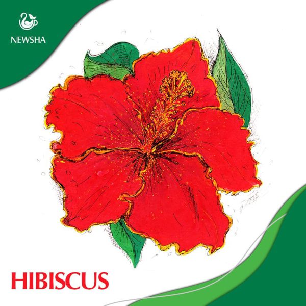 چای ترش نیوشا