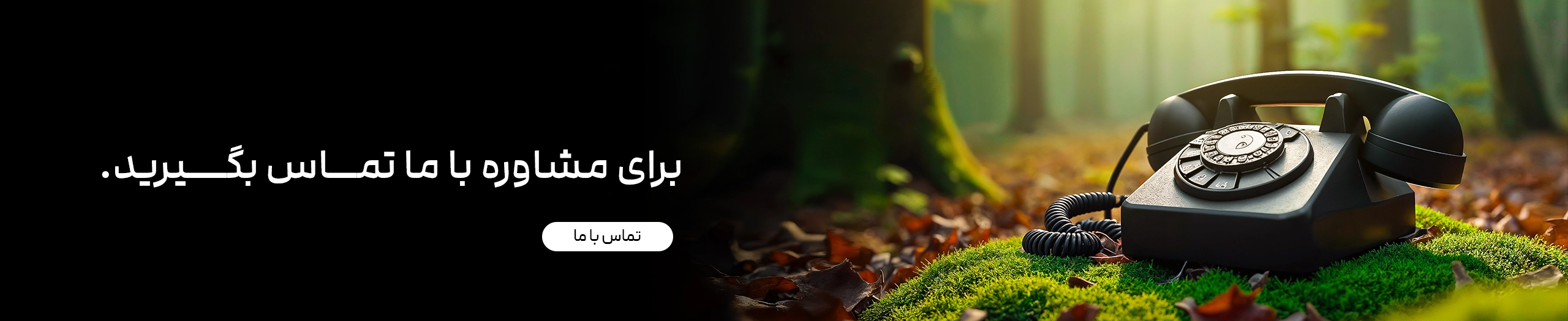 tel:02128424131