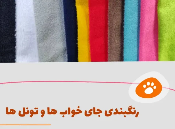اسکرچر گربه مدل C19